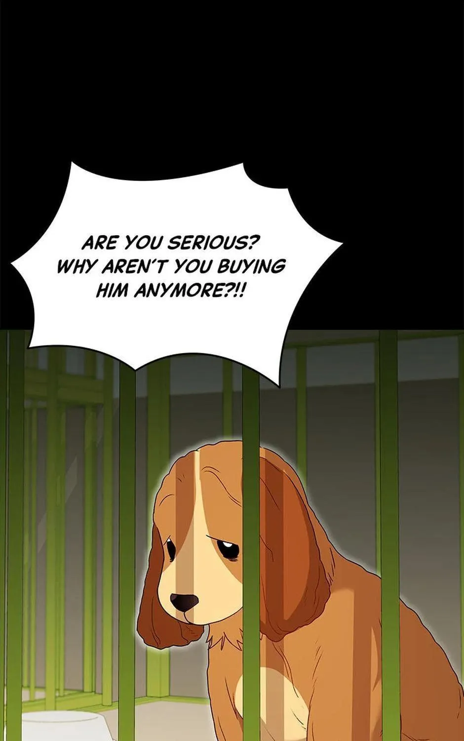 Veterinarian! Hello? Chapter 43 page 19 - 