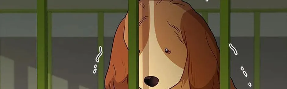 Veterinarian! Hello? Chapter 43 page 34 - 