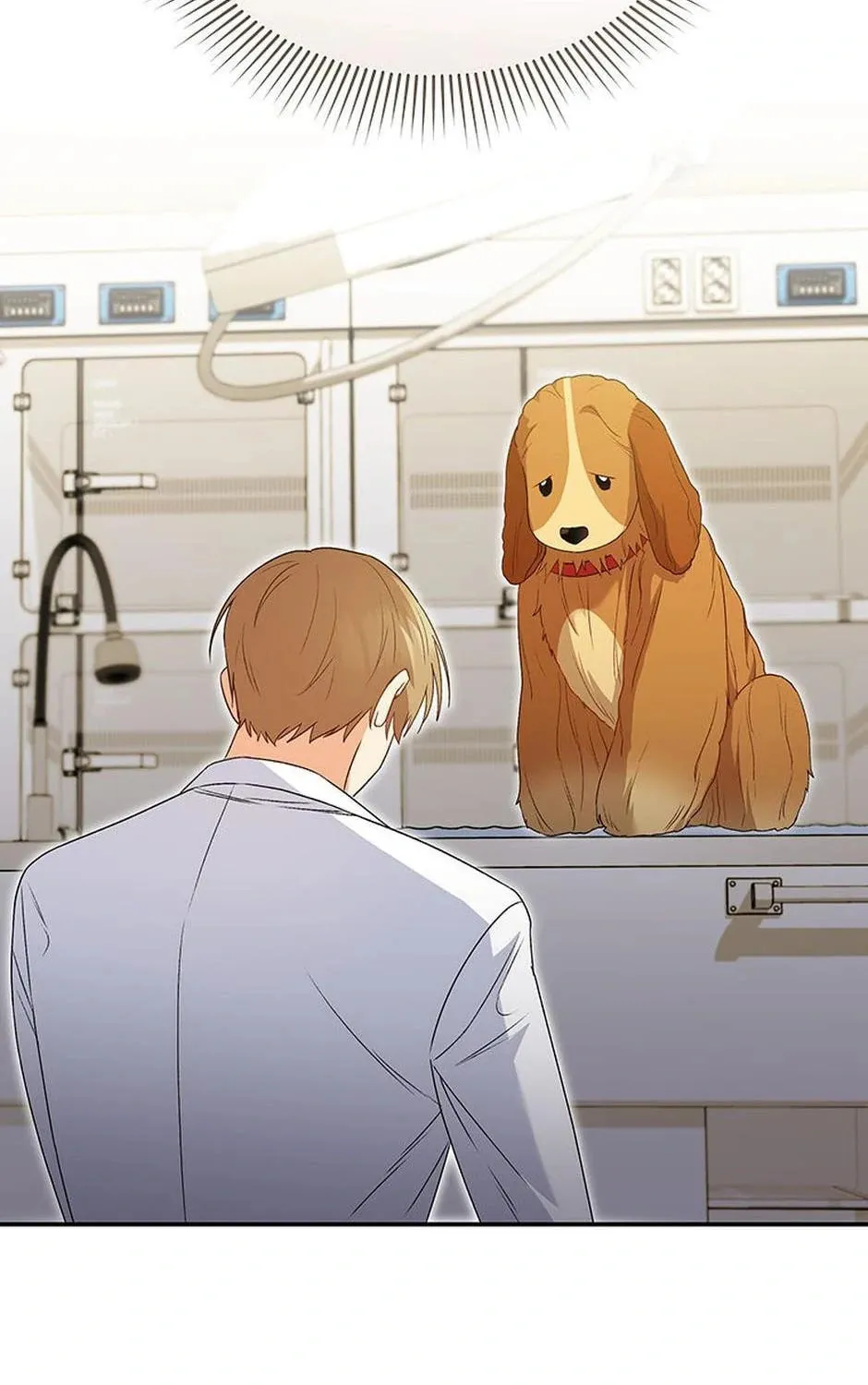 Veterinarian! Hello? Chapter 43 page 73 - 