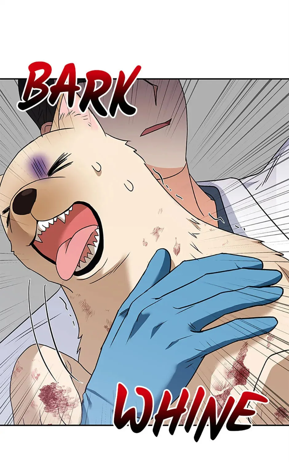 Veterinarian! Hello? Chapter 46 page 105 - 