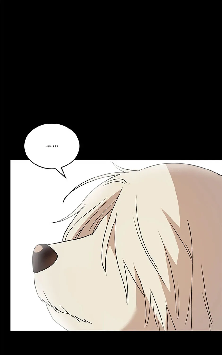 Veterinarian! Hello? Chapter 48 page 146 - 