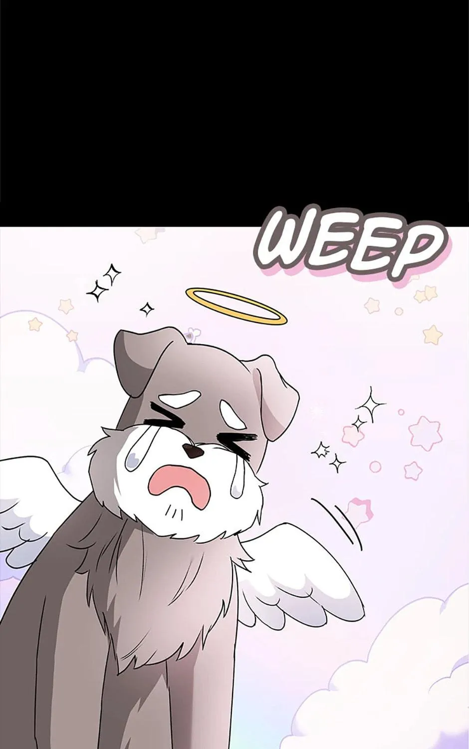 Veterinarian! Hello? Chapter 49 page 11 - 