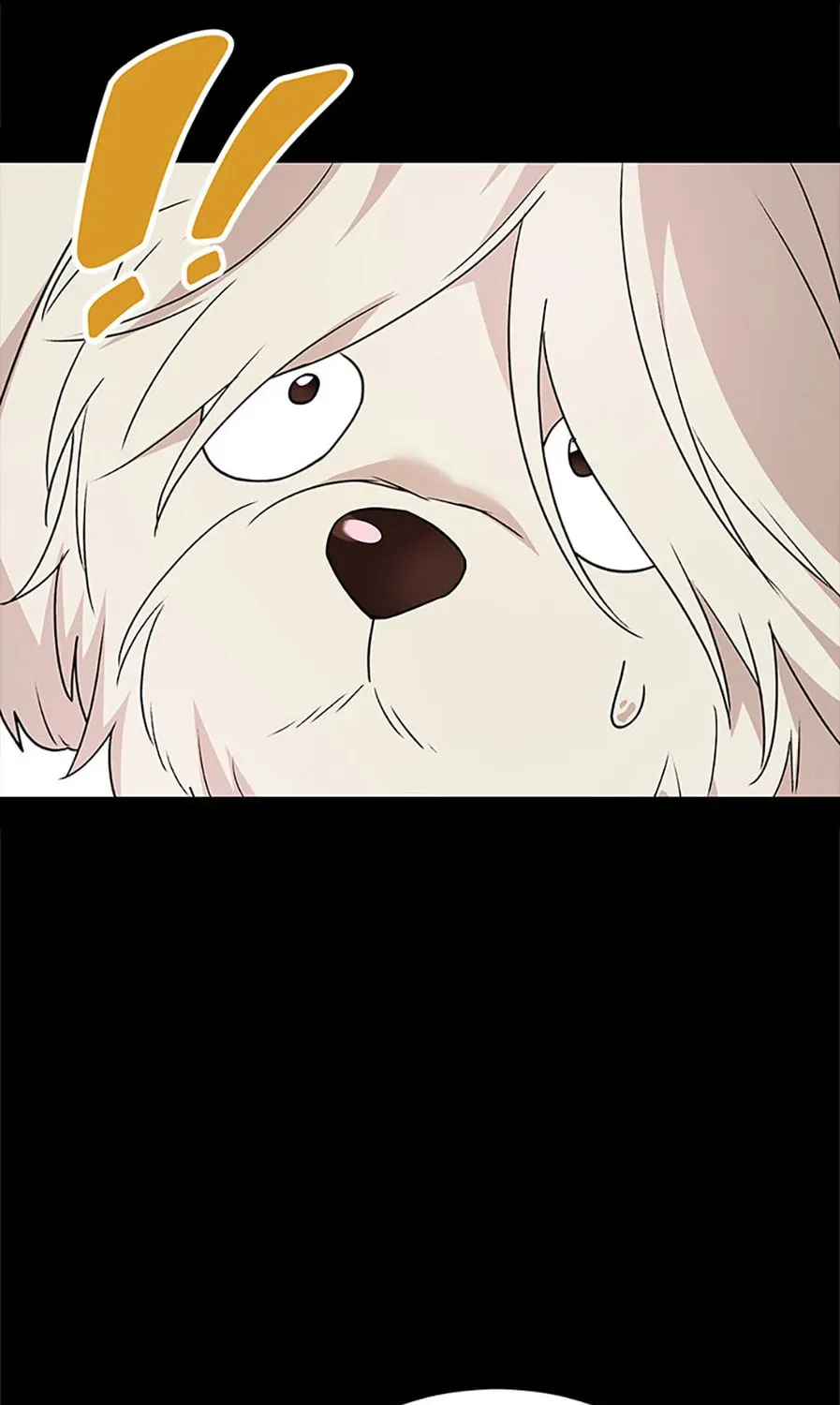 Veterinarian! Hello? Chapter 49 page 13 - 