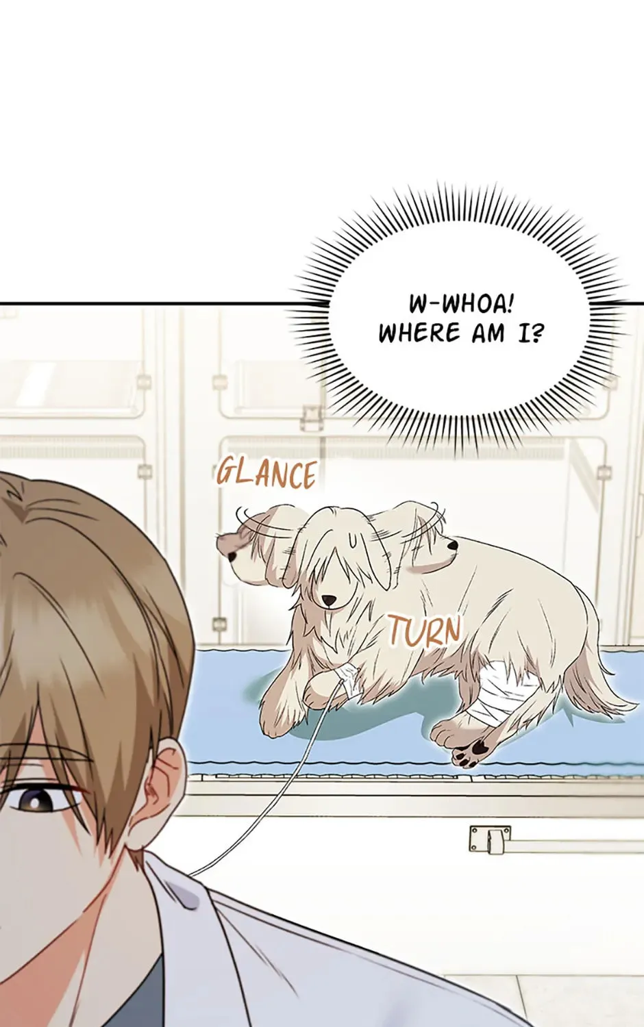 Veterinarian! Hello? Chapter 49 page 31 - 
