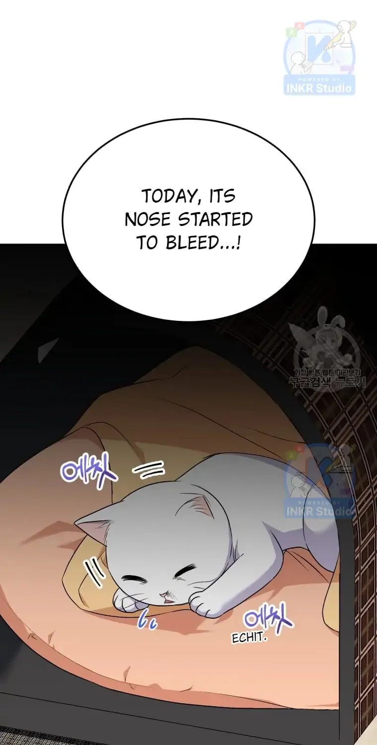 Veterinarian! Hello? Chapter 5 page 14 - 