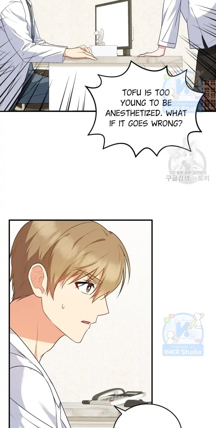 Veterinarian! Hello? Chapter 5 page 29 - 
