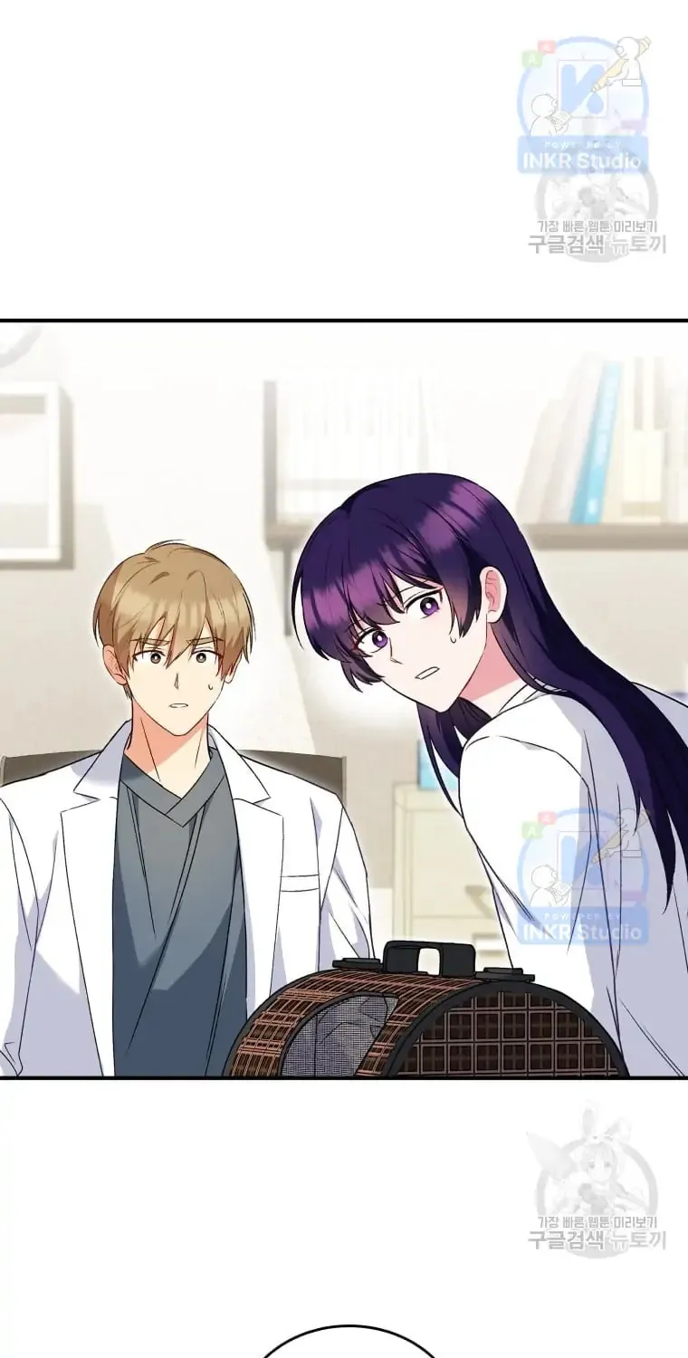 Veterinarian! Hello? Chapter 5 page 35 - 