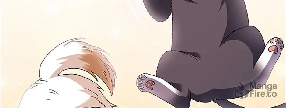Veterinarian! Hello? Chapter 50 page 108 - 