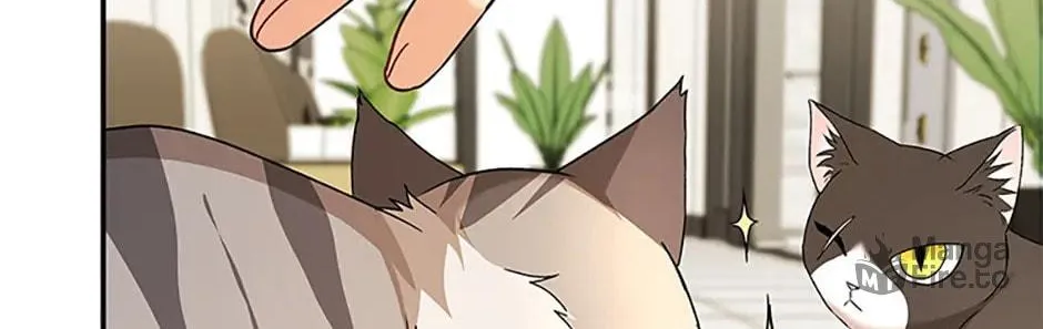 Veterinarian! Hello? Chapter 51 page 42 - 
