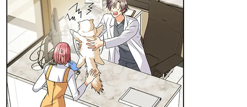 Veterinarian! Hello? Chapter 52 page 152 - 