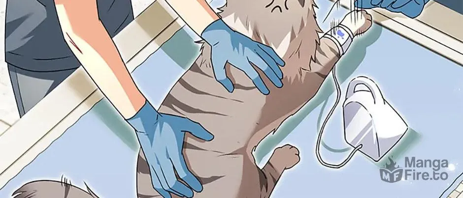 Veterinarian! Hello? Chapter 52 page 42 - 