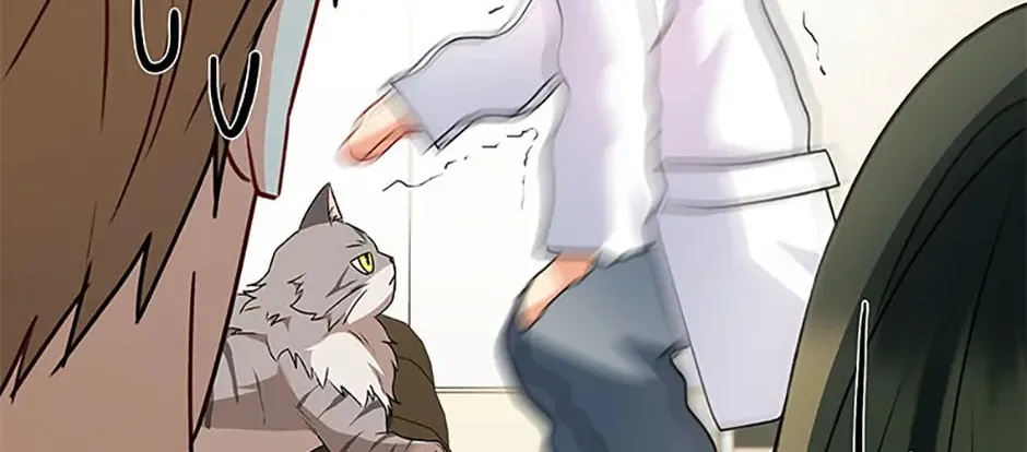 Veterinarian! Hello? Chapter 52 page 62 - 
