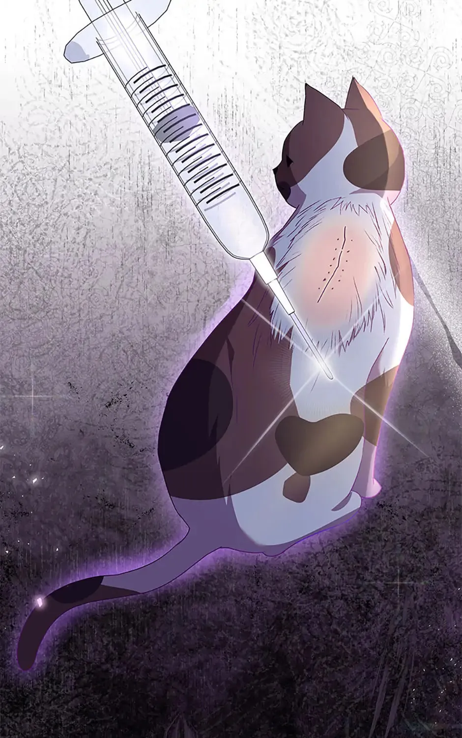 Veterinarian! Hello? Chapter 53 page 13 - 