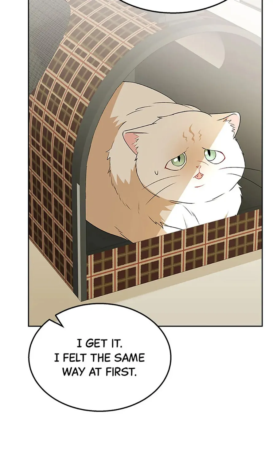 Veterinarian! Hello? Chapter 54 page 133 - 