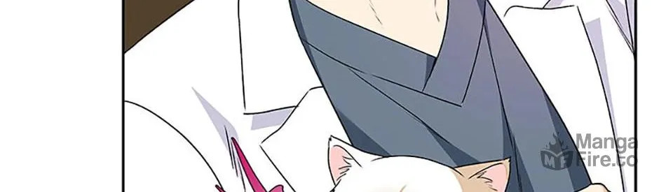 Veterinarian! Hello? Chapter 54 page 42 - 
