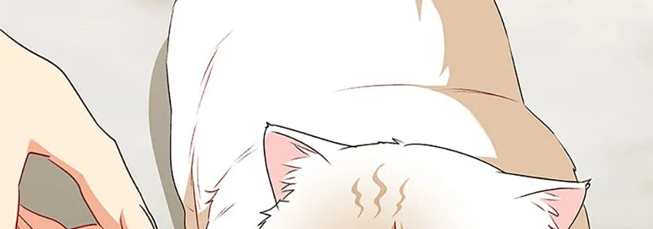 Veterinarian! Hello? Chapter 54 page 52 - 