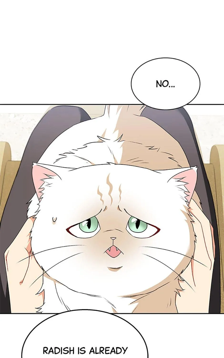 Veterinarian! Hello? Chapter 54 page 79 - 
