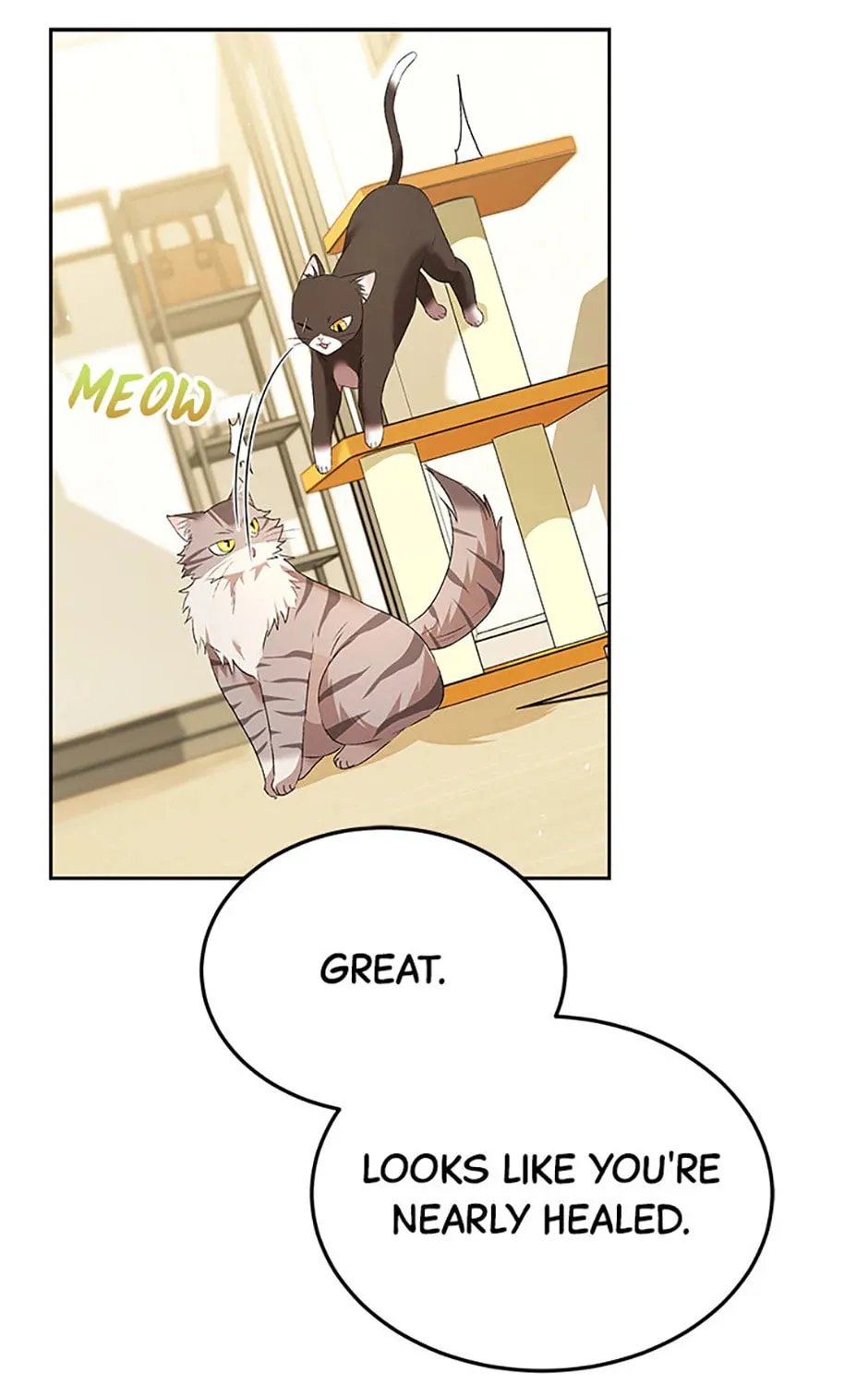 Veterinarian! Hello? Chapter 56 page 121 - 
