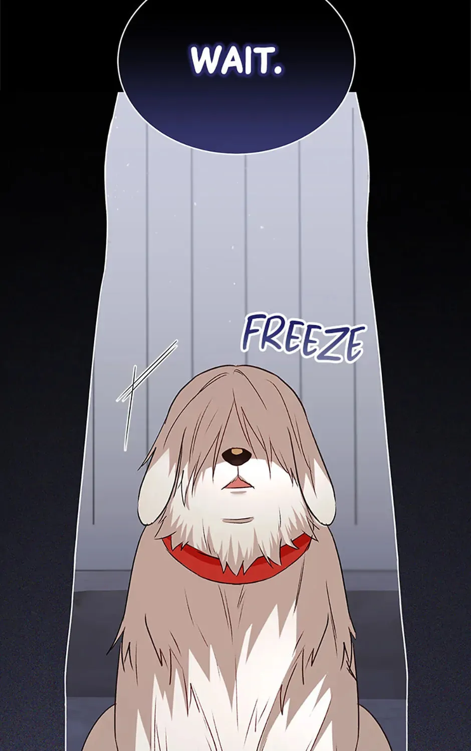 Veterinarian! Hello? Chapter 56 page 21 - 