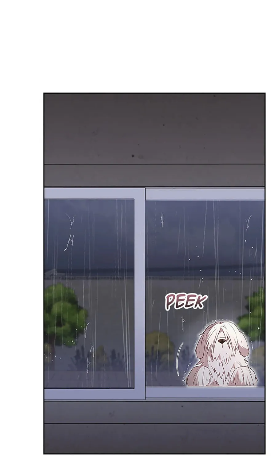 Veterinarian! Hello? Chapter 57 page 105 - 