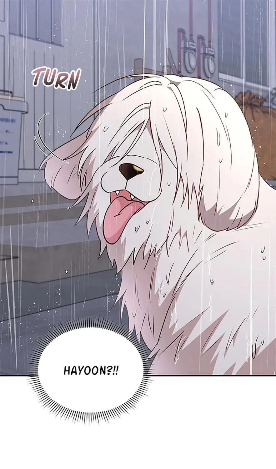 Veterinarian! Hello? Chapter 57 page 113 - 