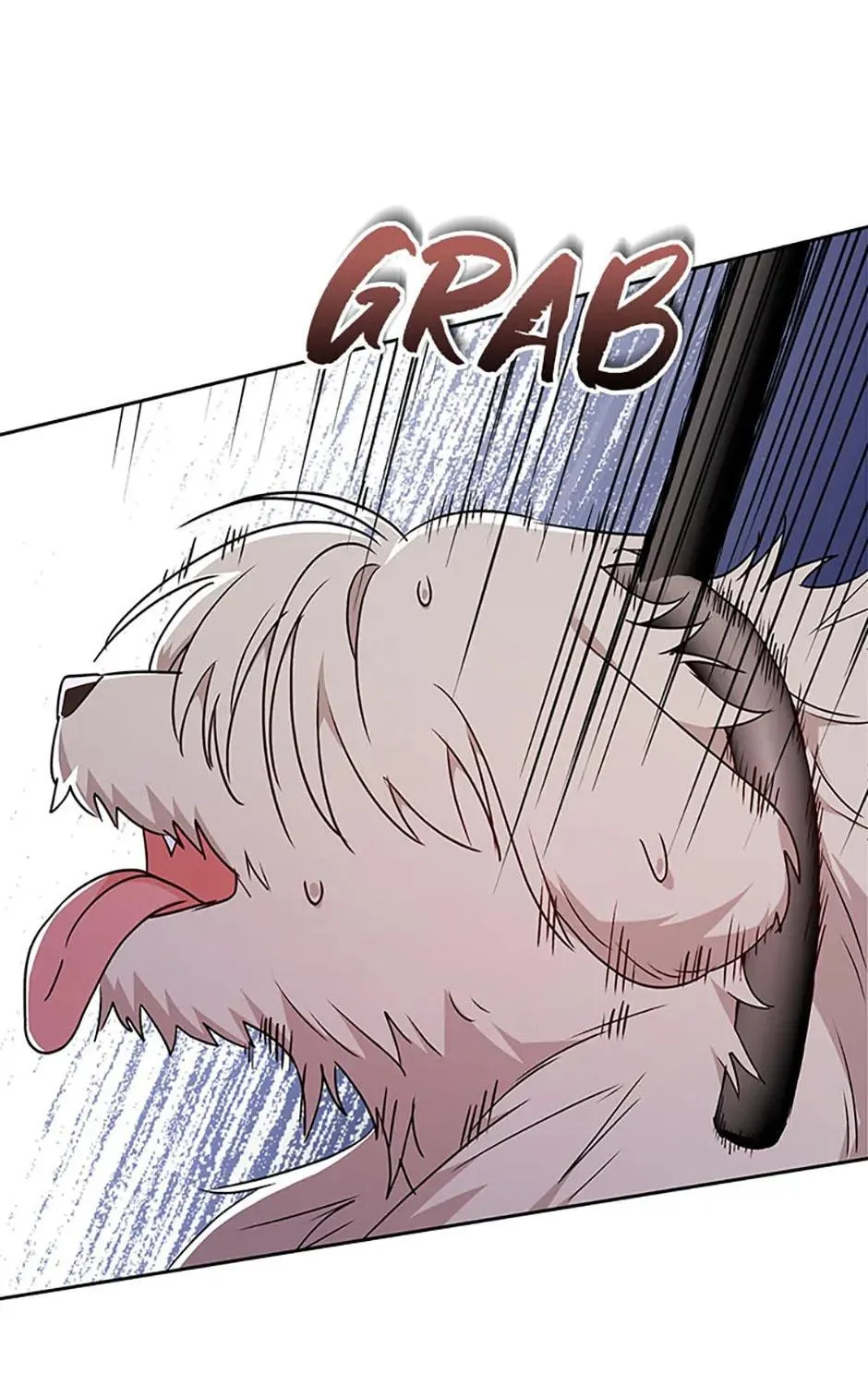Veterinarian! Hello? Chapter 57 page 137 - 