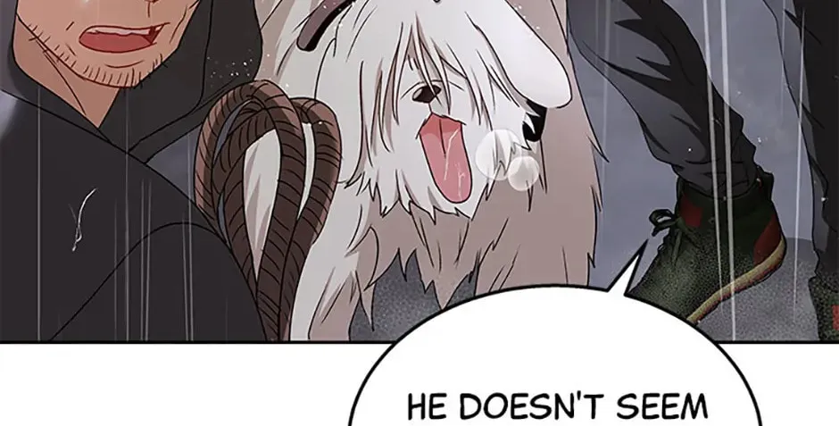 Veterinarian! Hello? Chapter 58 page 14 - 