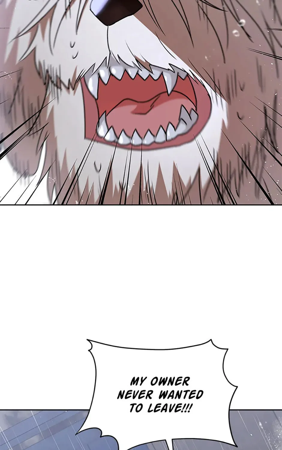 Veterinarian! Hello? Chapter 58 page 157 - 