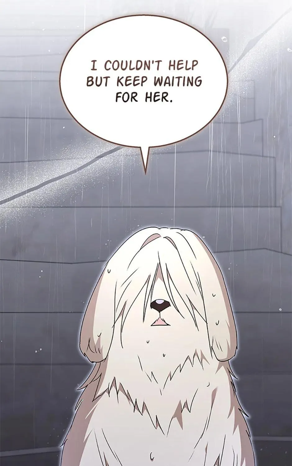 Veterinarian! Hello? Chapter 59 page 143 - 