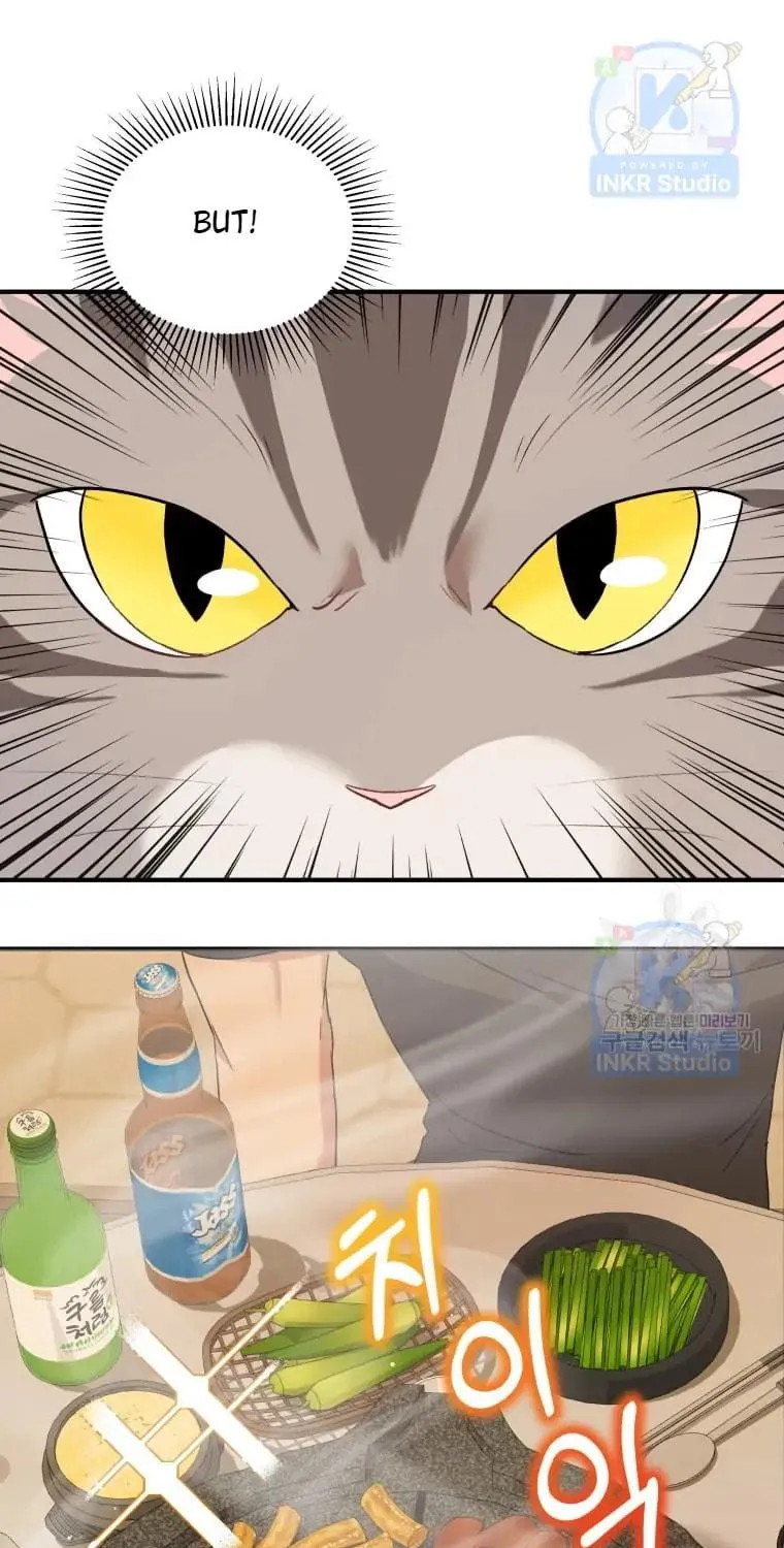 Veterinarian! Hello? Chapter 6 page 49 - 
