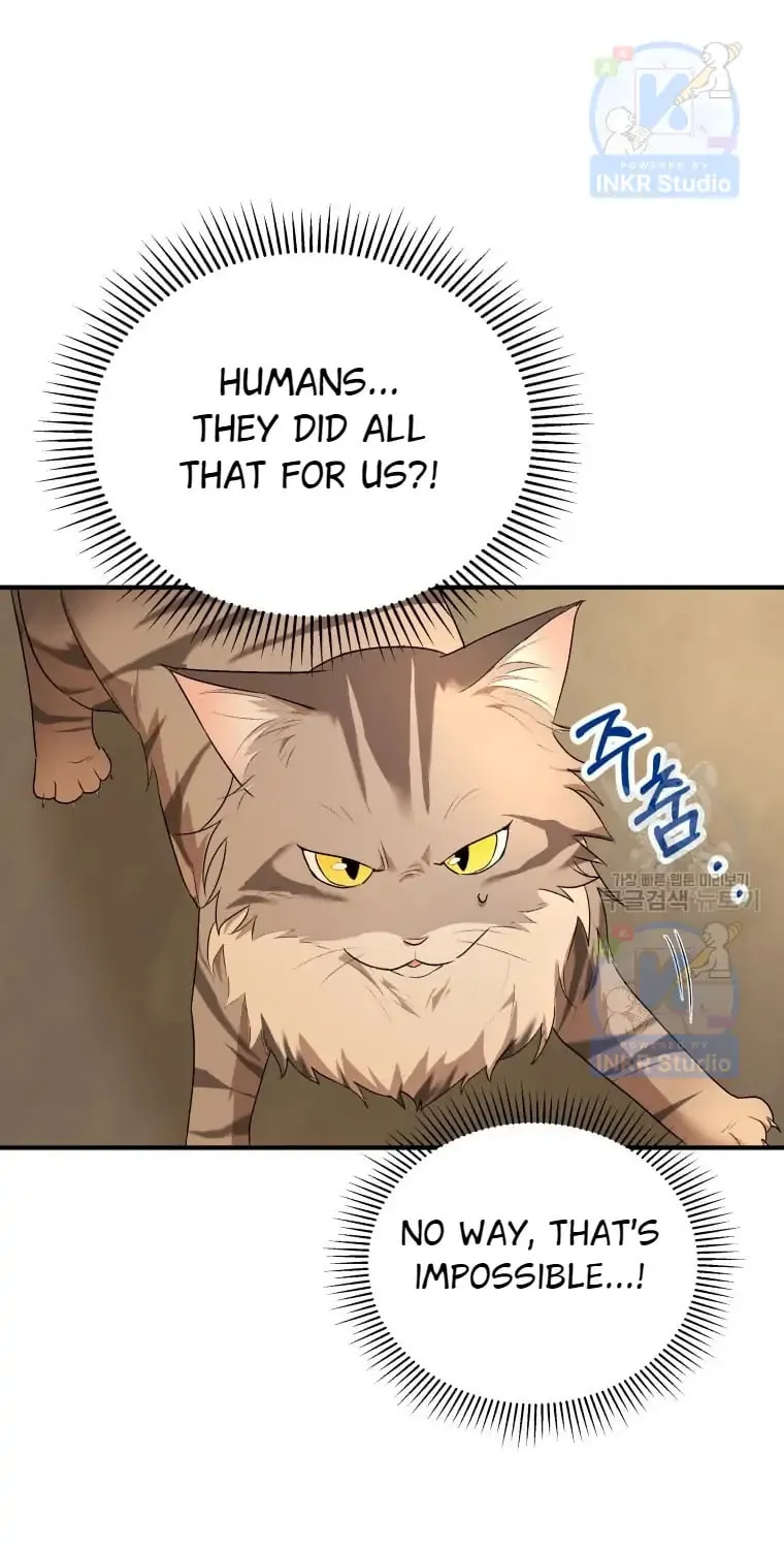 Veterinarian! Hello? Chapter 6 page 65 - 