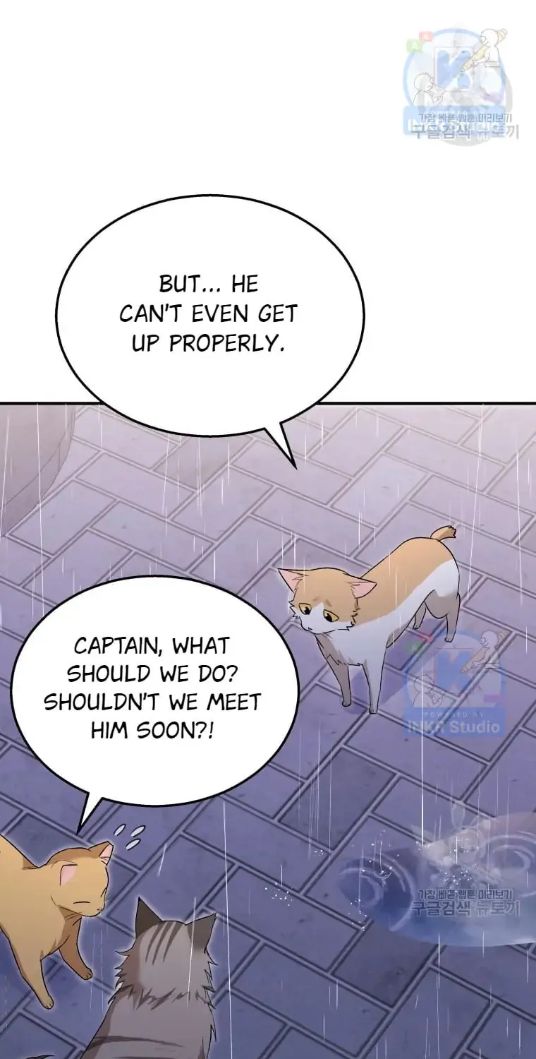 Veterinarian! Hello? Chapter 6 page 86 - 