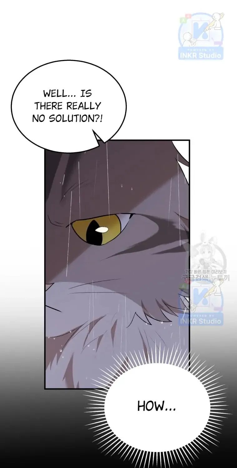 Veterinarian! Hello? Chapter 6 page 89 - 
