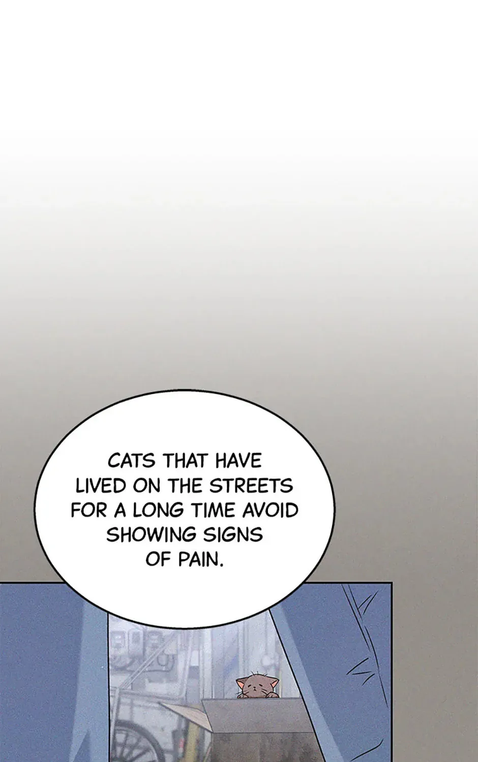 Veterinarian! Hello? Chapter 62 page 43 - 