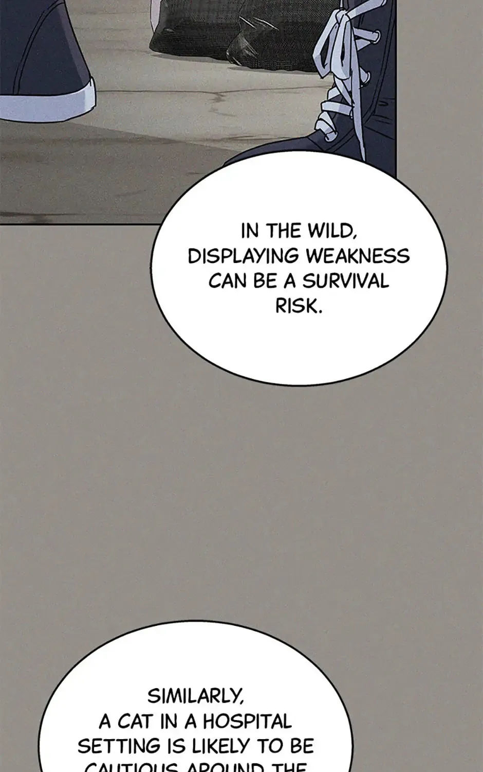 Veterinarian! Hello? Chapter 62 page 45 - 