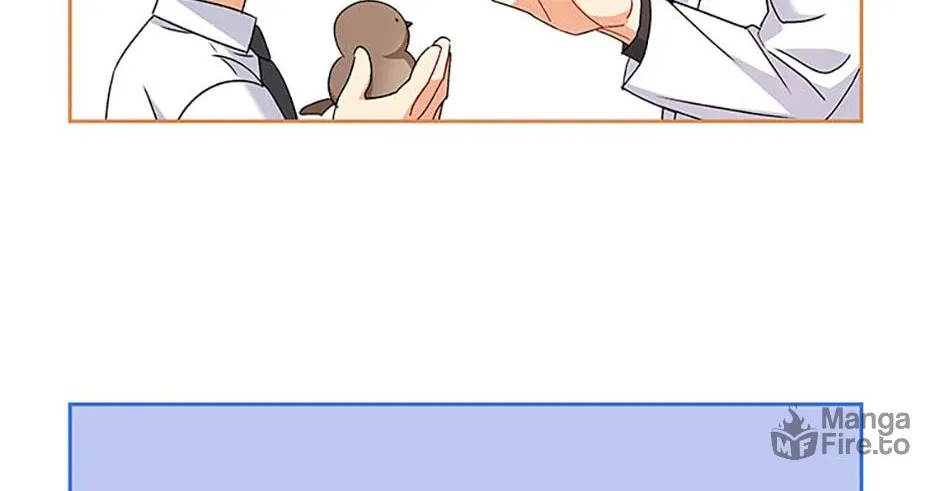 Veterinarian! Hello? Chapter 63 page 24 - 