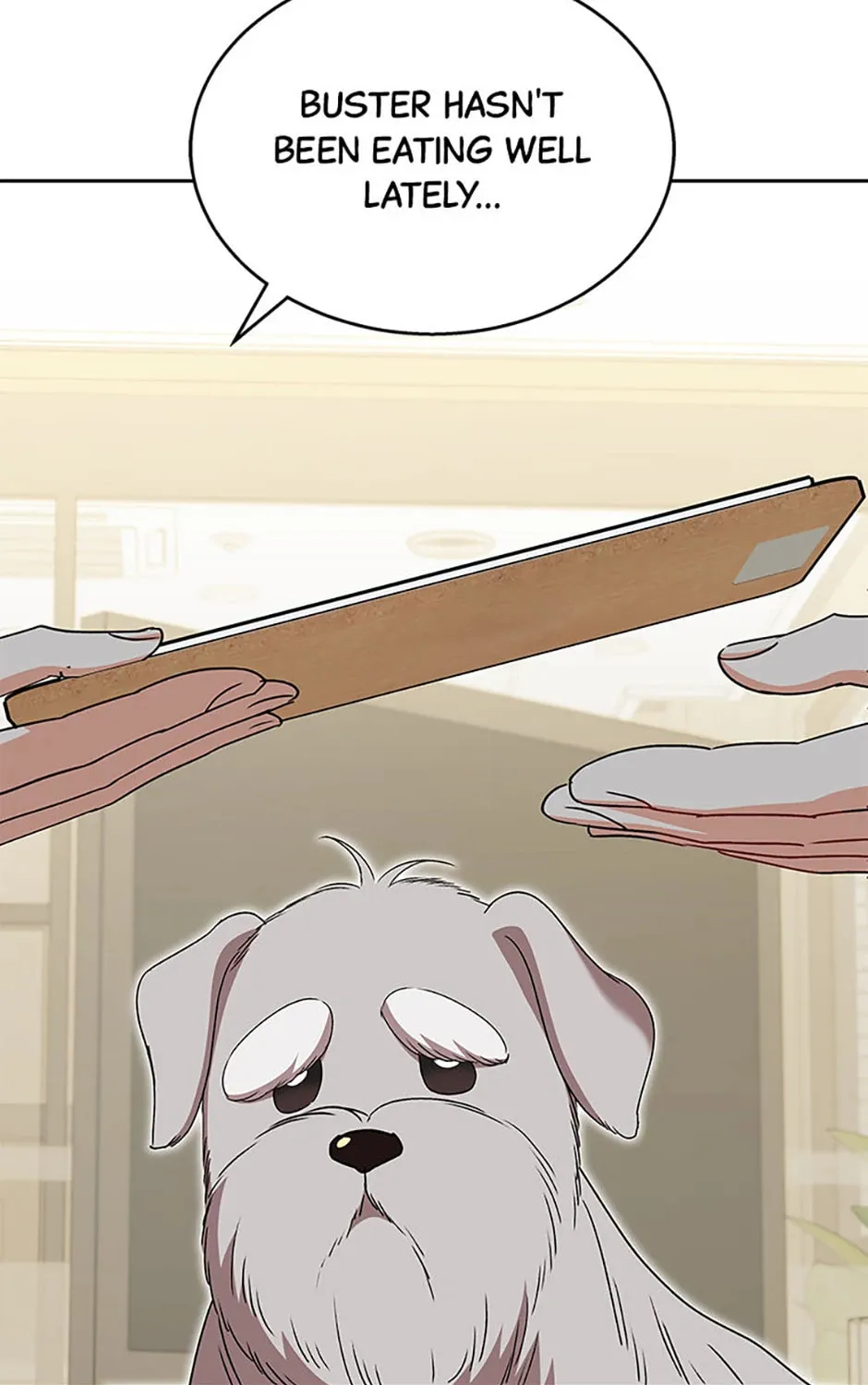 Veterinarian! Hello? Chapter 65 page 75 - 