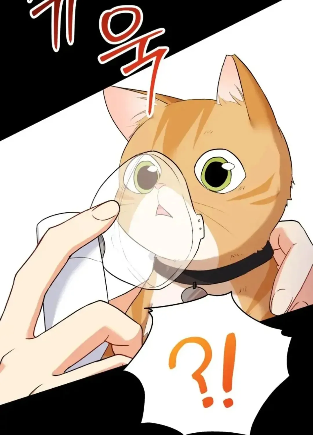 Veterinarian! Hello? Chapter 7.1 page 94 - 
