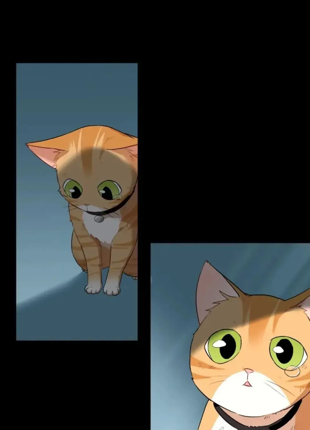 Veterinarian! Hello? Chapter 7 page 74 - 