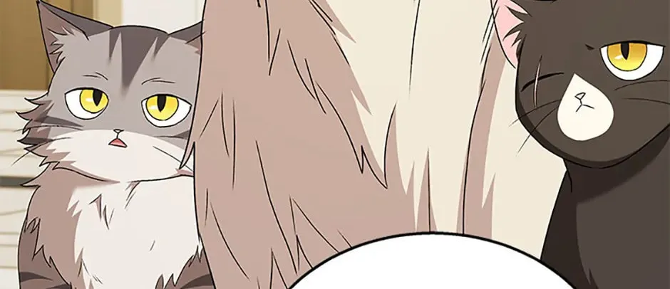 Veterinarian! Hello? Chapter 70 page 38 - 