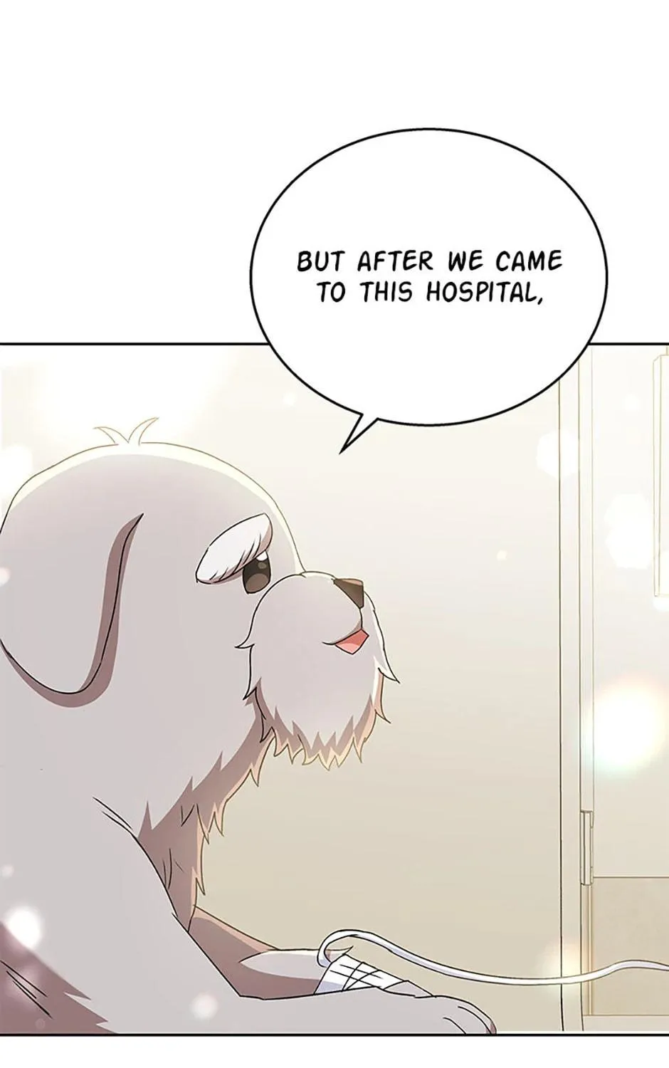 Veterinarian! Hello? Chapter 70 page 47 - 