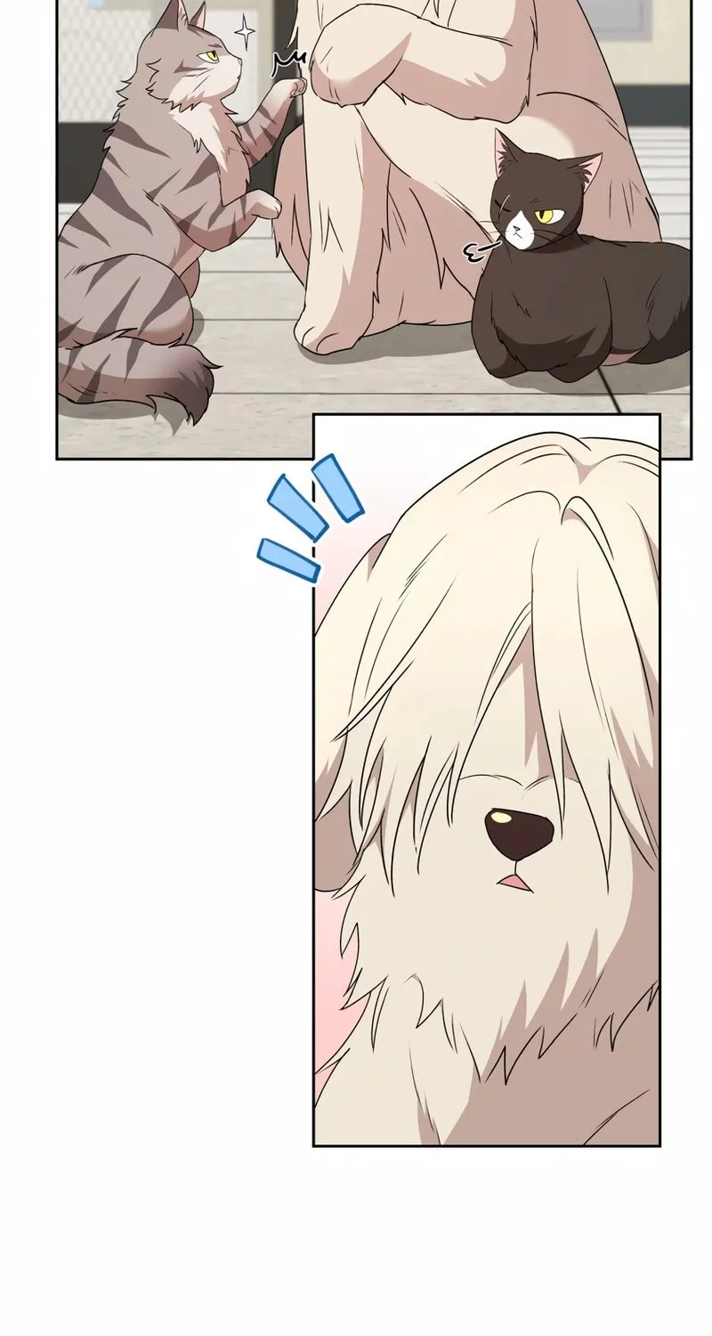 Veterinarian! Hello? Chapter 73 page 27 - 