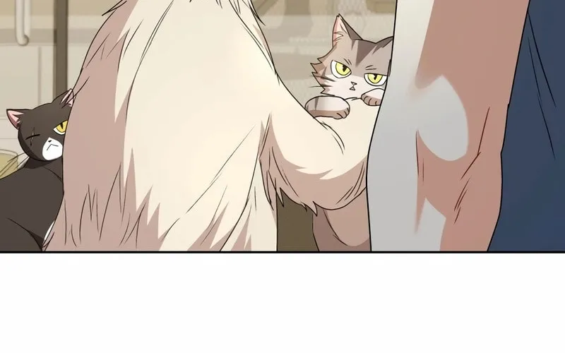 Veterinarian! Hello? Chapter 73 page 39 - 