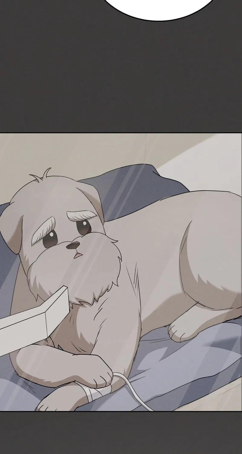 Veterinarian! Hello? Chapter 73 page 76 - 