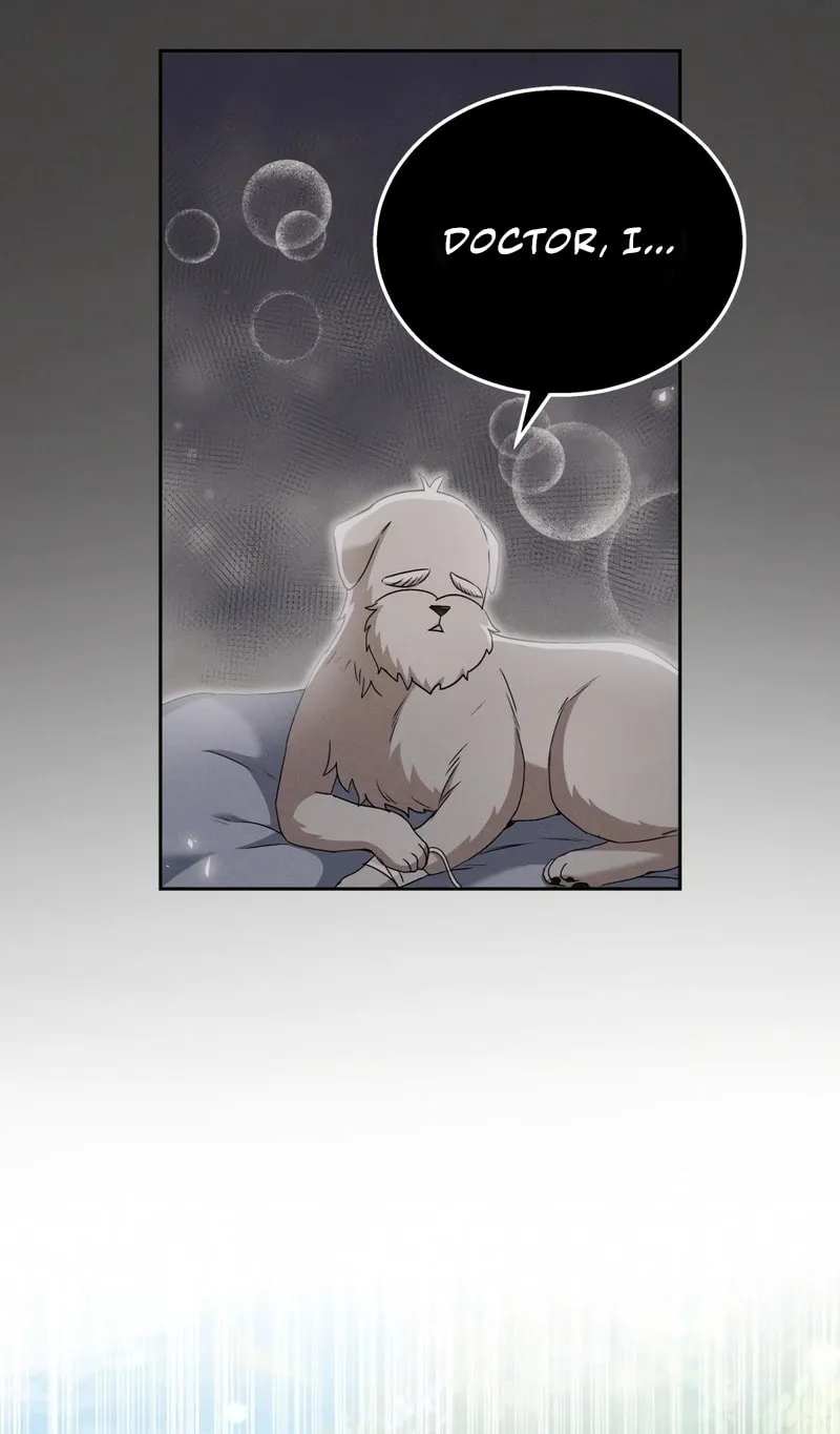 Veterinarian! Hello? Chapter 73 page 77 - 