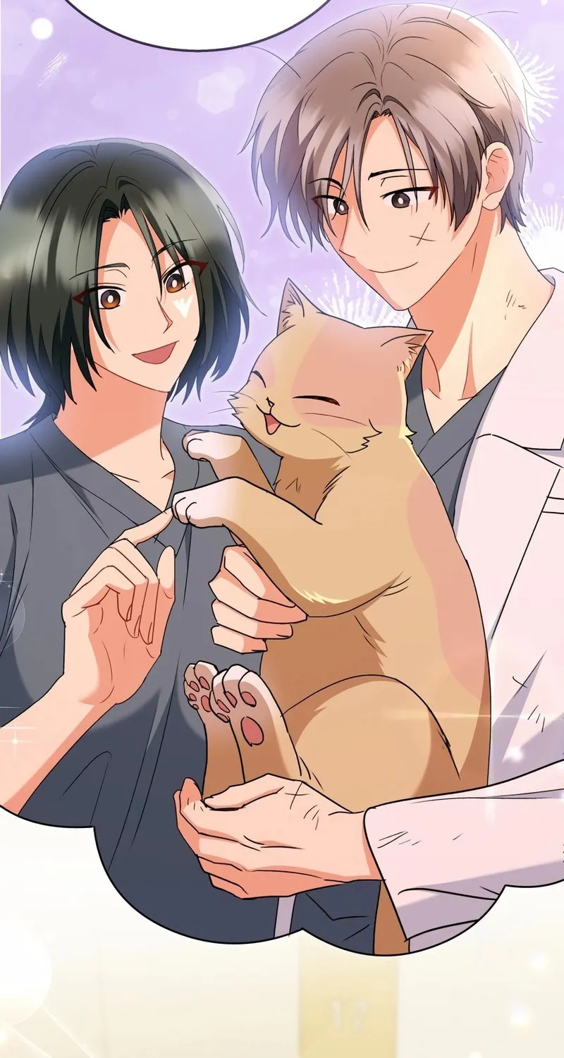 Veterinarian! Hello? Chapter 74 page 49 - 