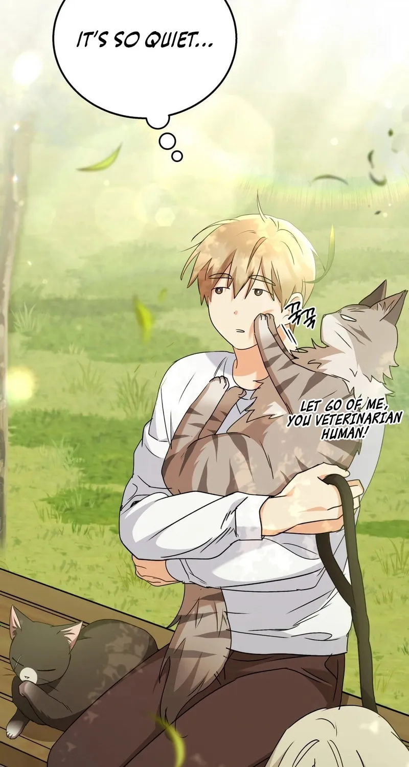 Veterinarian! Hello? Chapter 74 page 62 - 