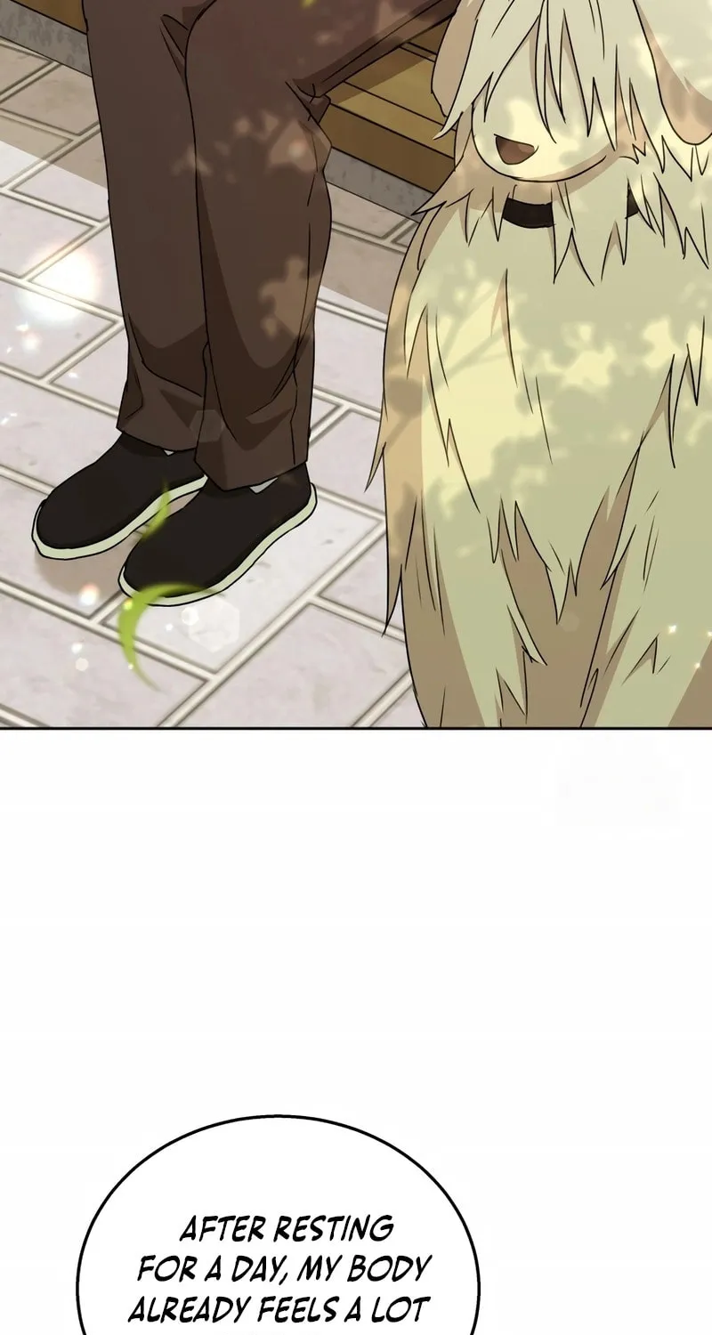 Veterinarian! Hello? Chapter 74 page 63 - 