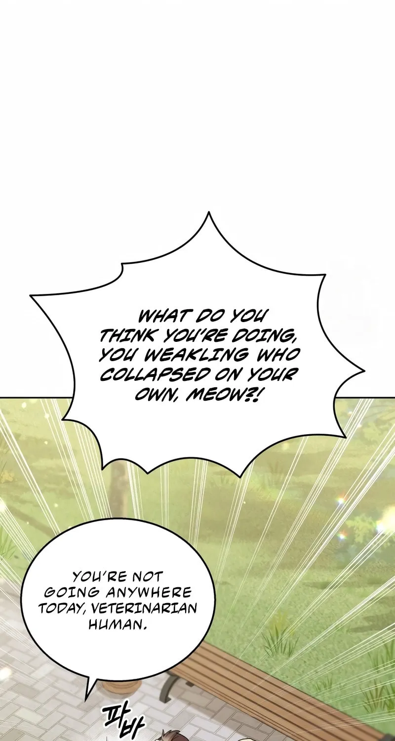 Veterinarian! Hello? Chapter 74 page 70 - 
