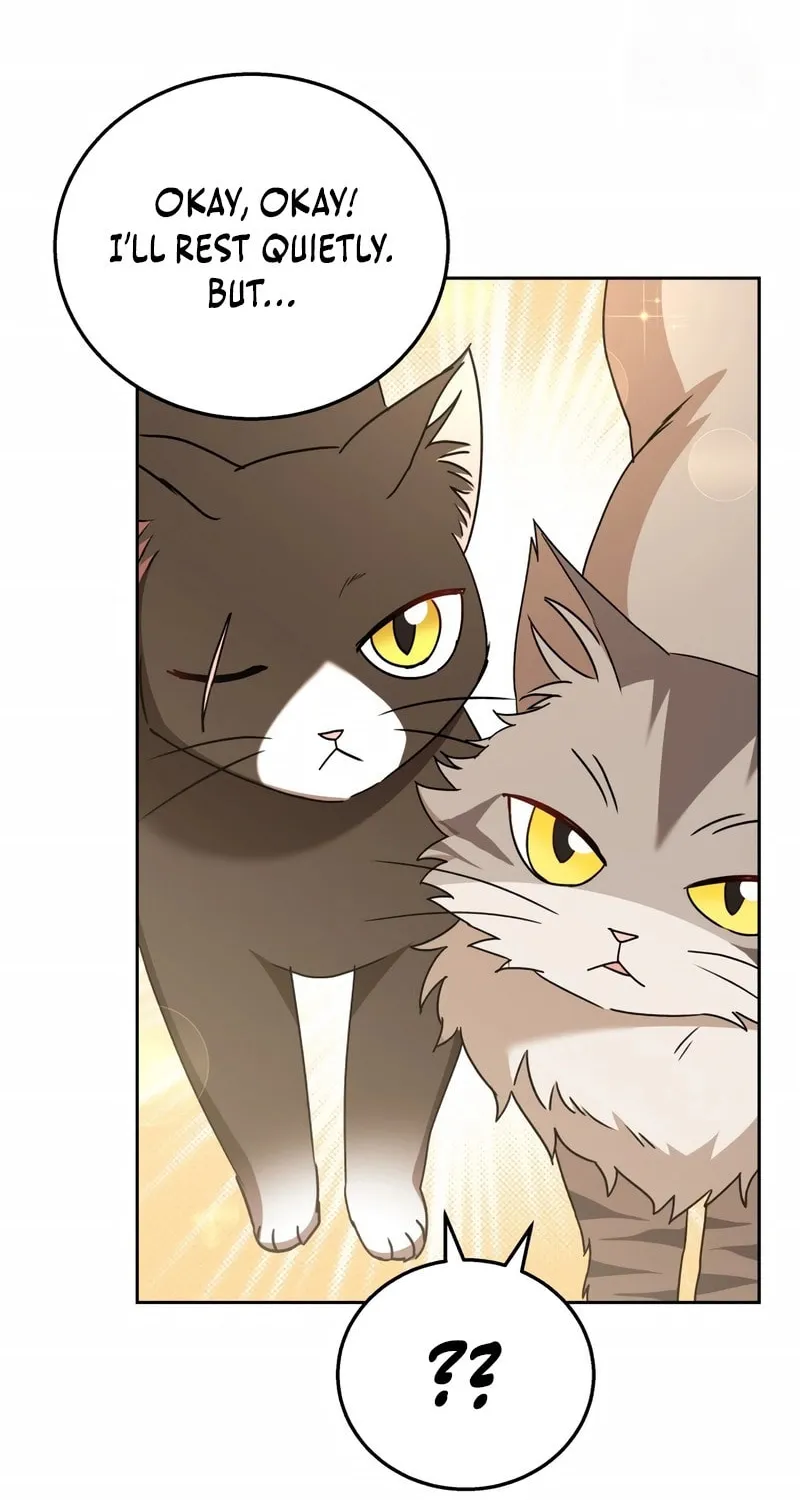 Veterinarian! Hello? Chapter 74 page 78 - 
